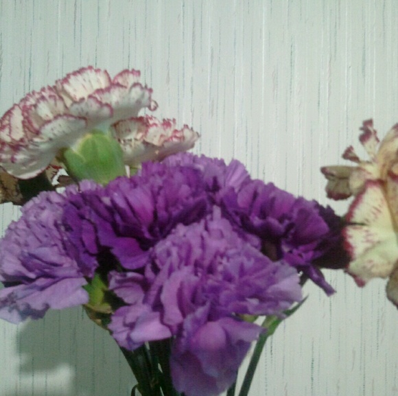 Meet your Posher, Rachel - Picture 1 of 1